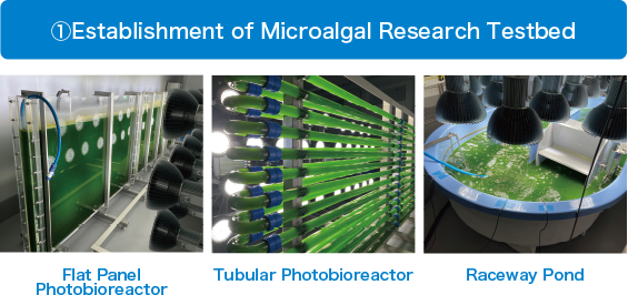 Environmental regulation will enable production and cultivation tests of diverse microalgae species in environments that simulate various climates, as well as trials of multiple drying and extraction processes.