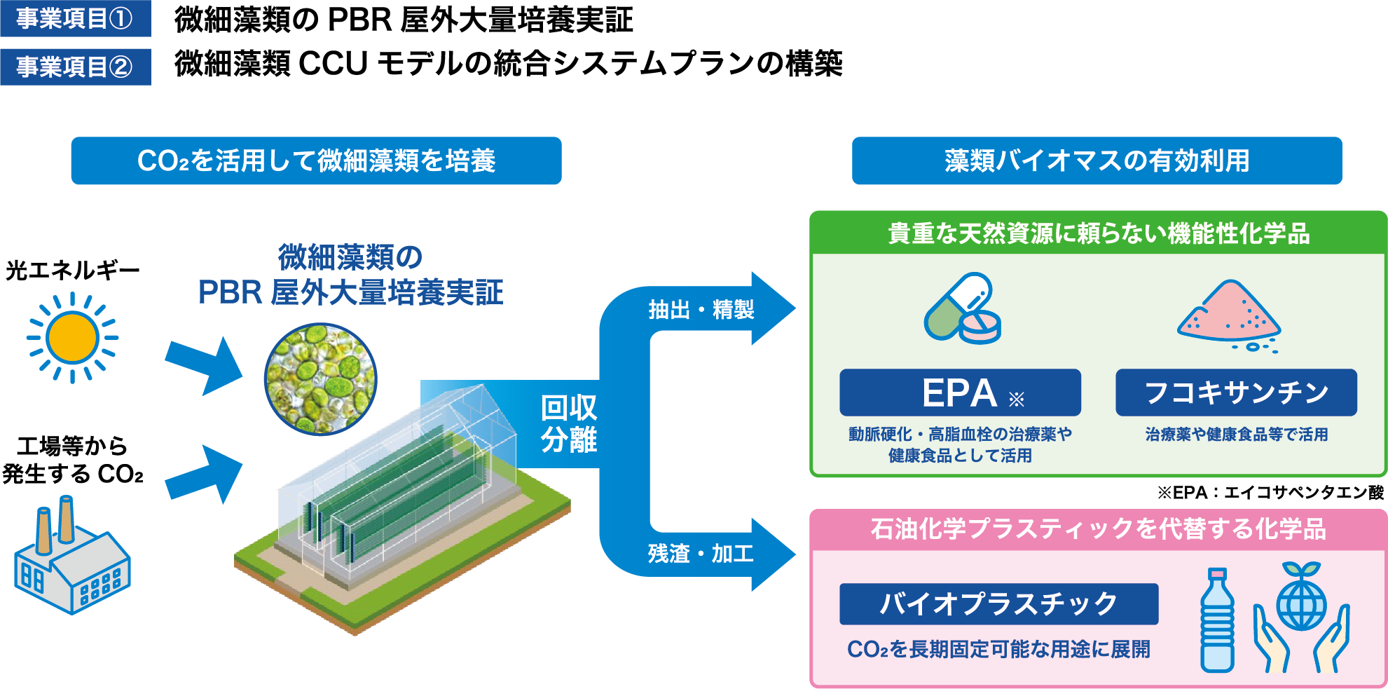 微細藻類によるCO₂固定化と有用化学品生産に関する研究開発