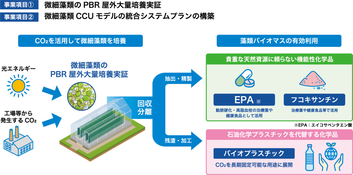 微細藻類によるCO₂固定化と有用化学品生産に関する研究開発